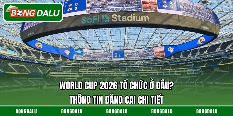 World Cup 2026 Tổ Chức Ở Đâu? Thông Tin Đăng Cai Chi Tiết